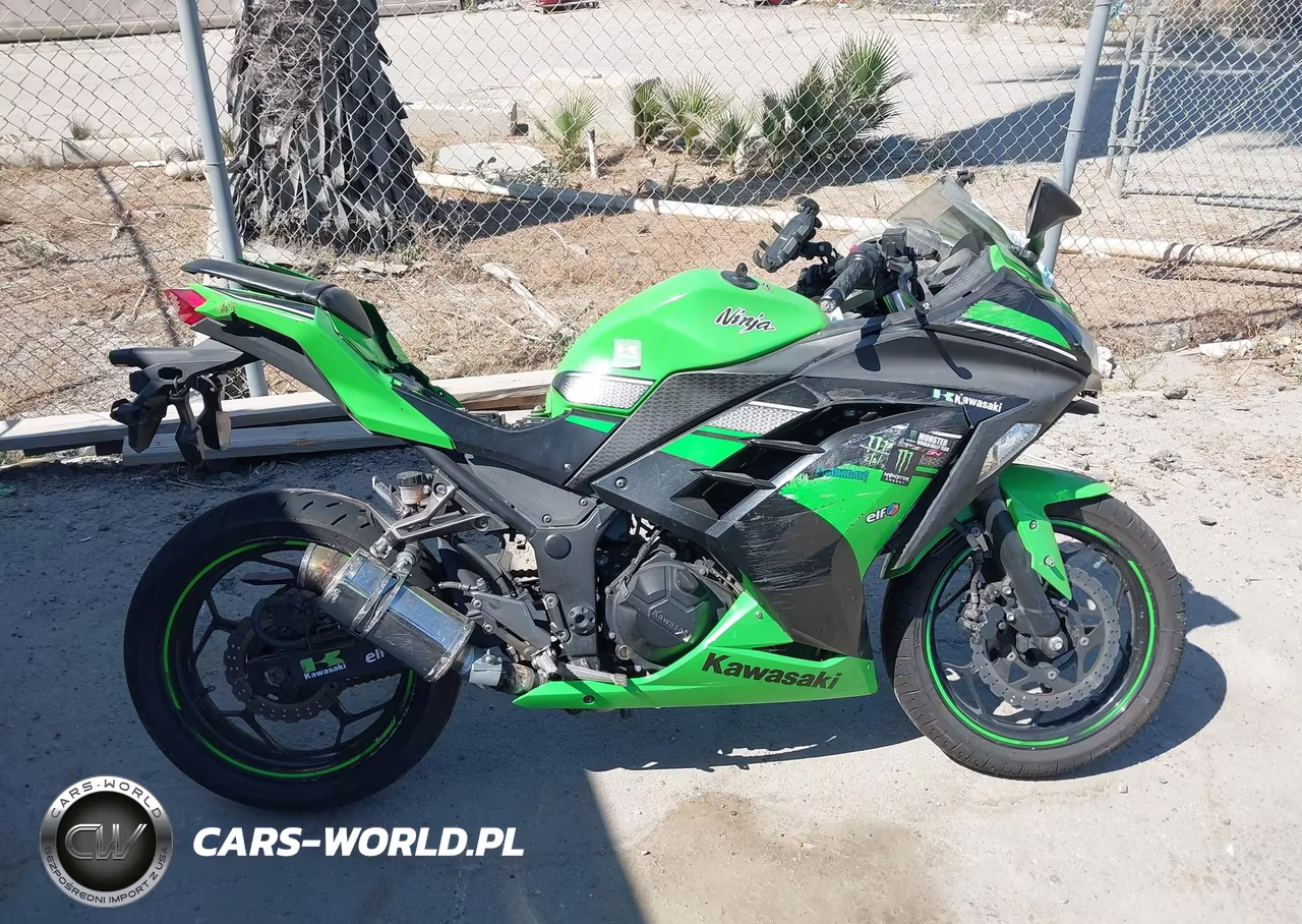 2013 Kawasaki Ex300 A VIN:JKAEX8A12DDA14632 - 12