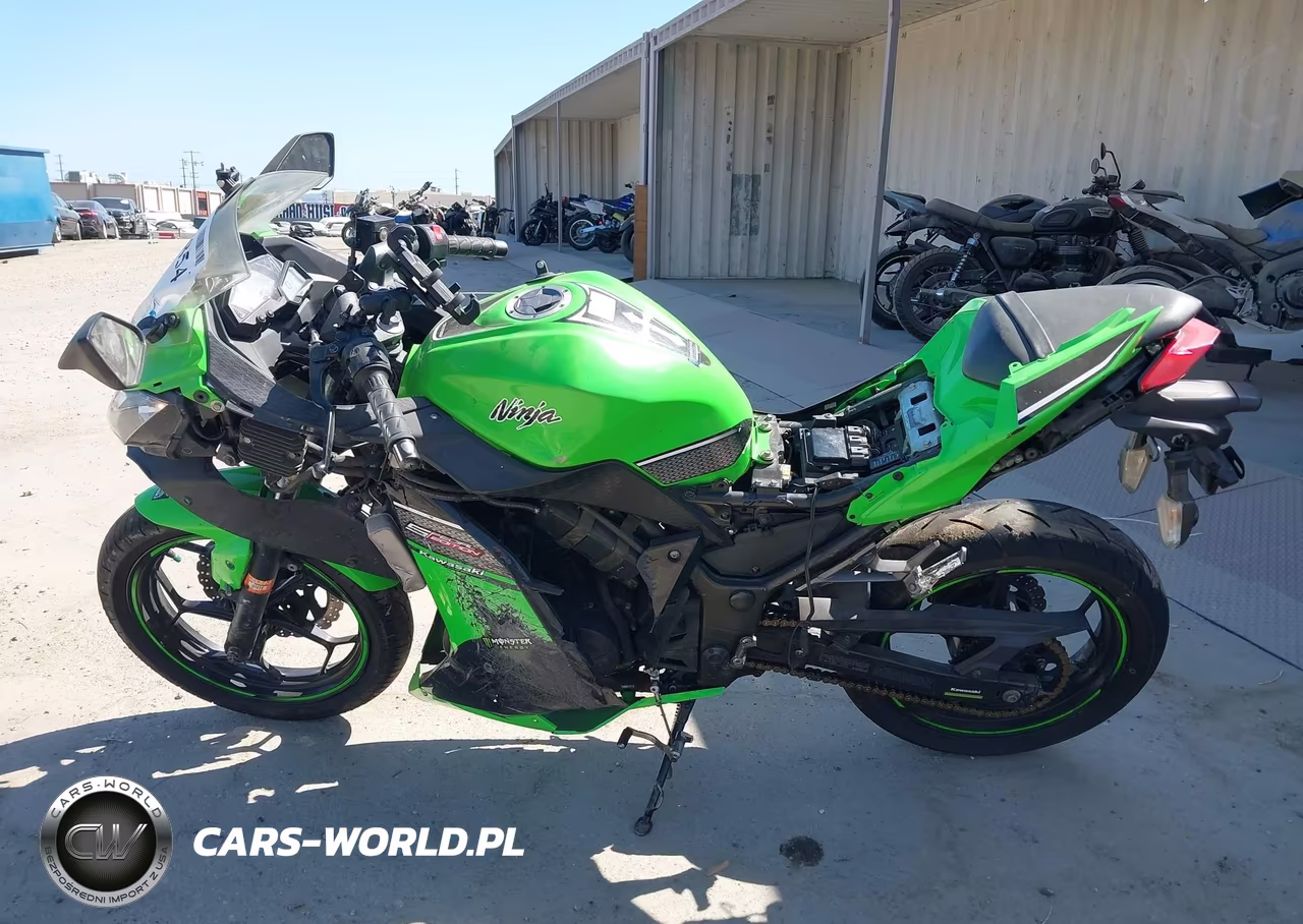2013 Kawasaki Ex300 A VIN:JKAEX8A12DDA14632 - 13