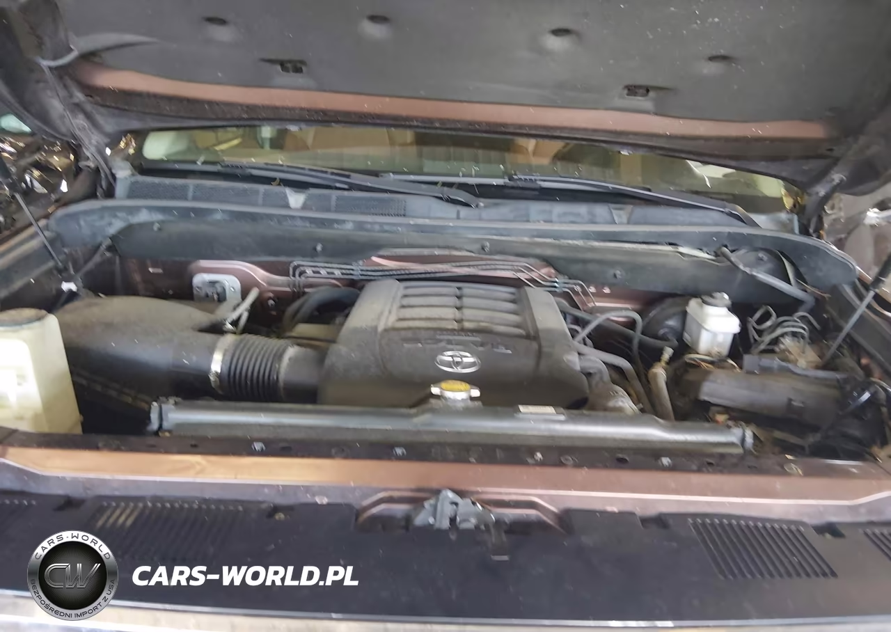 2016 Toyota Tundra 1794 5.7L V8 VIN:5TFAW5F15GX556807 - 10