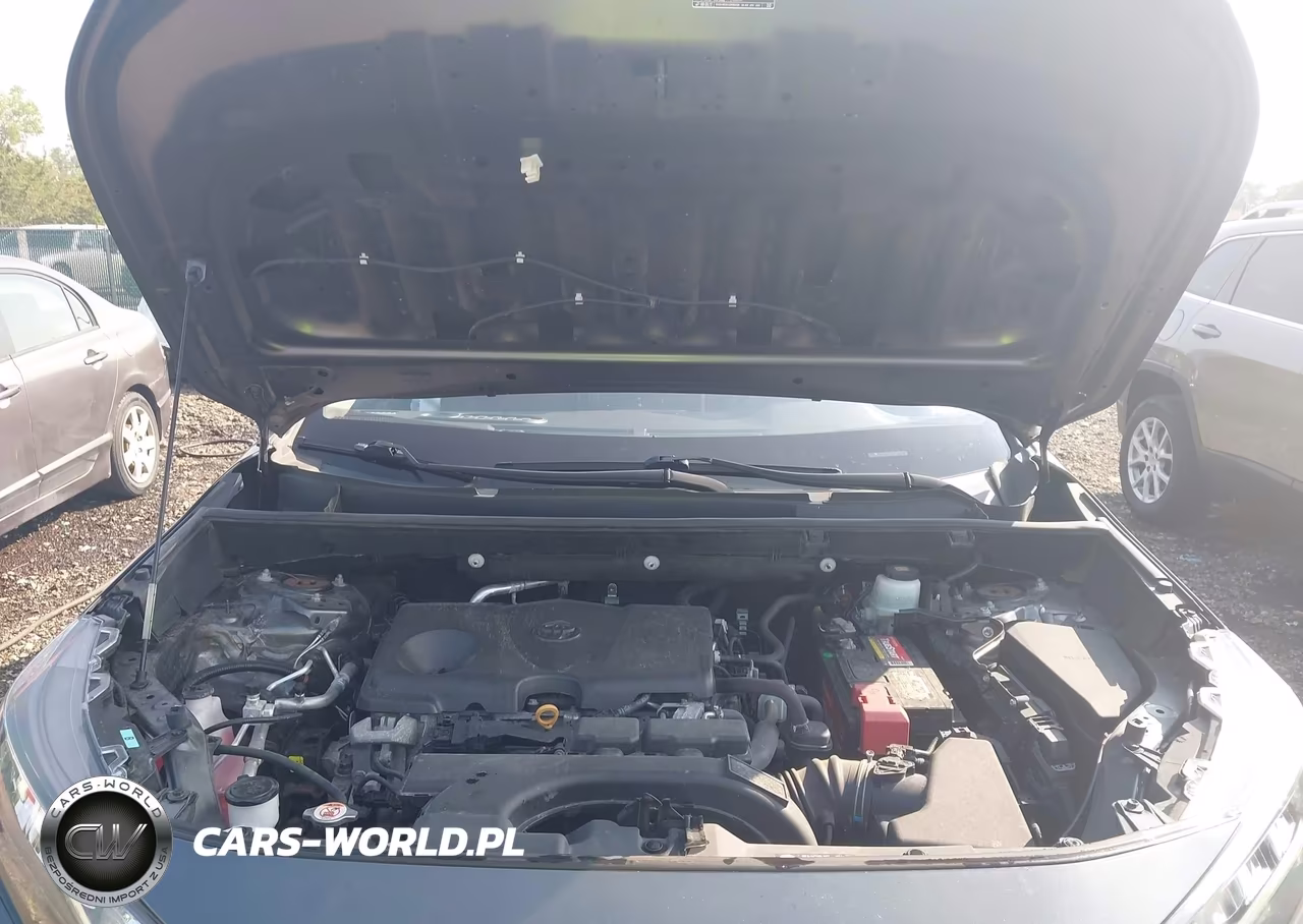 2019 Toyota Rav4 Le VIN:2T3F1RFV3KC028583 - 10