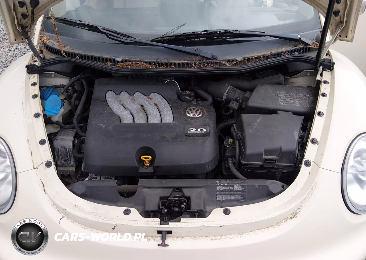 2005 Volkswagen New Beetle Gls VIN:3VWCM31Y25M363537 - 10