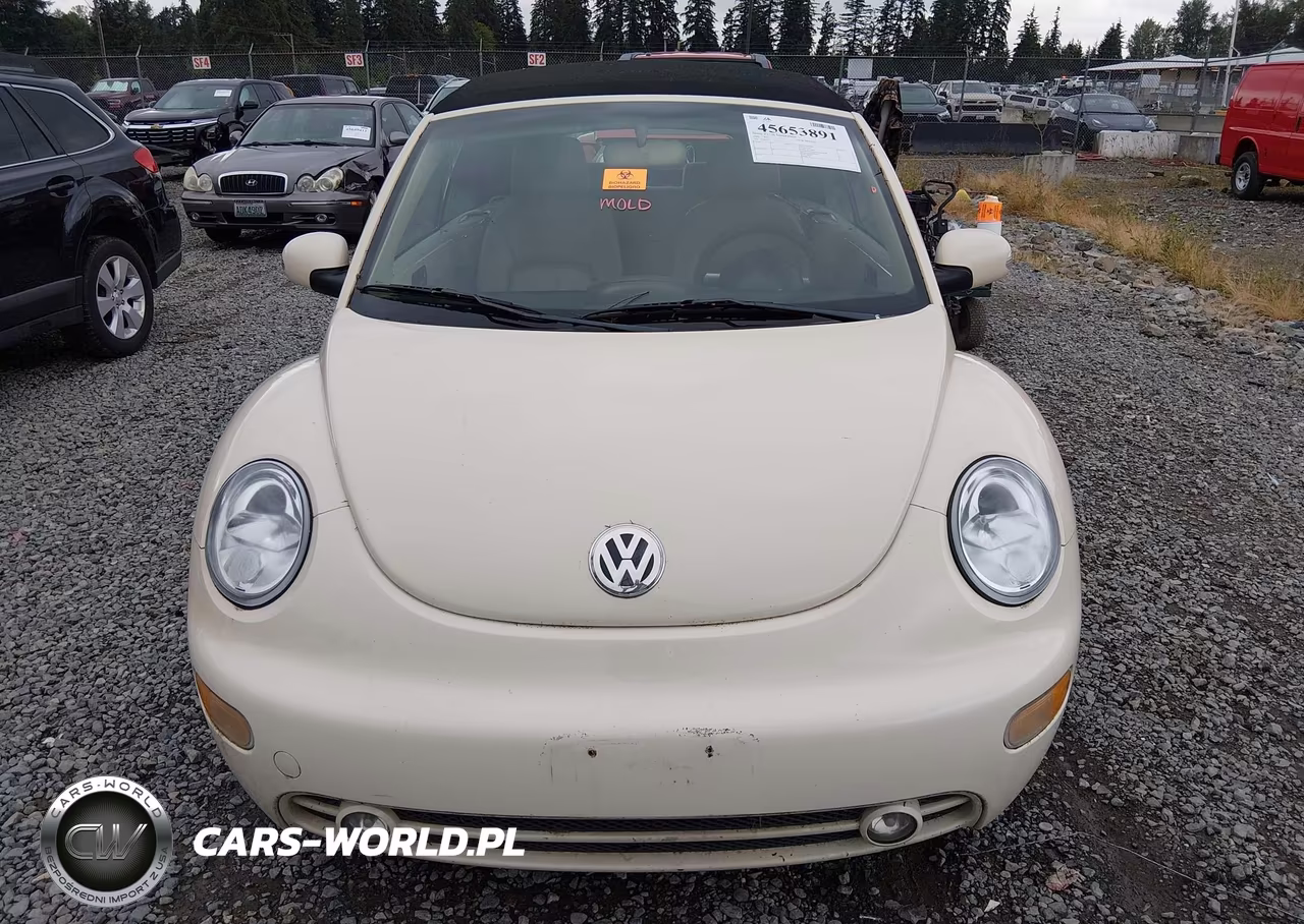 2005 Volkswagen New Beetle Gls VIN:3VWCM31Y25M363537 - 12