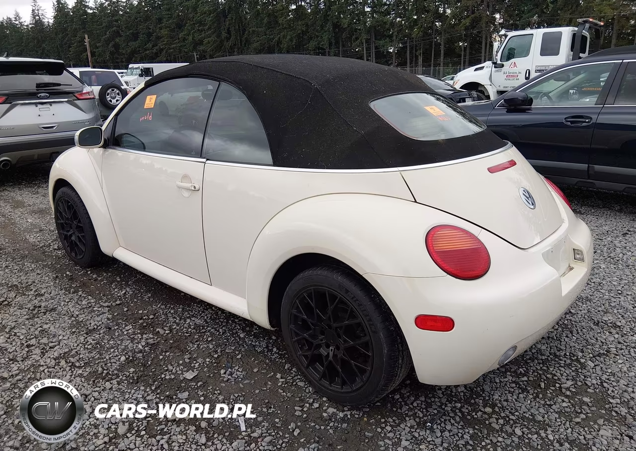 2005 Volkswagen New Beetle Gls VIN:3VWCM31Y25M363537 - 3