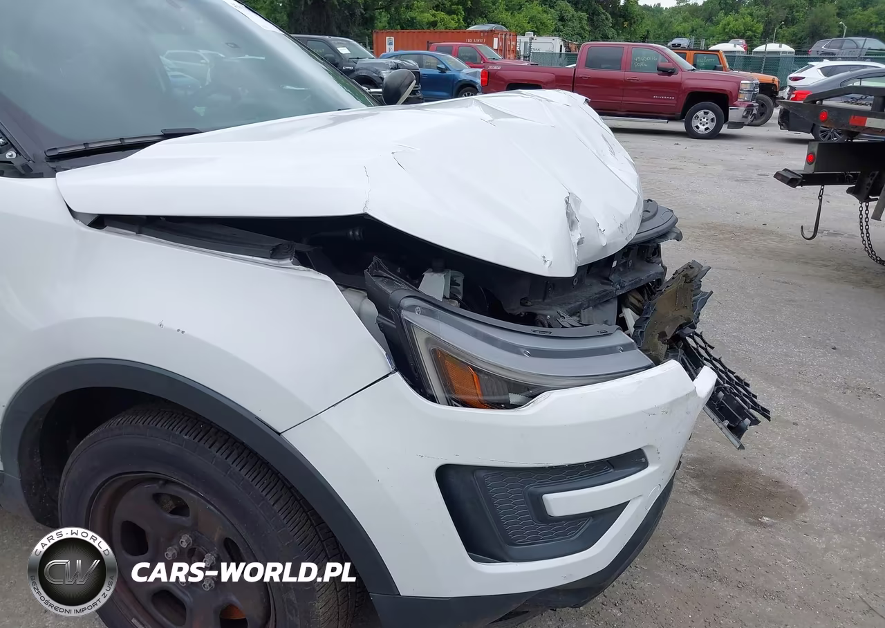 2017 Ford Police Interceptor VIN:1FM5K8ARXHGB34413 - 18