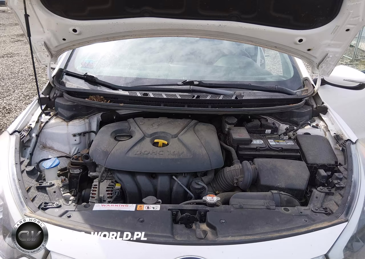 2016 Kia Forte Lx VIN:KNAFX4A64G5533155 - 10