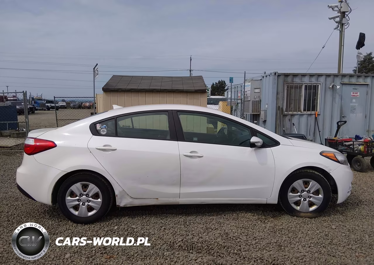 2016 Kia Forte Lx VIN:KNAFX4A64G5533155 - 13