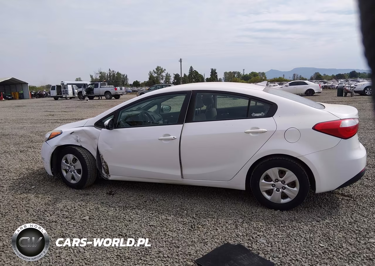 2016 Kia Forte Lx VIN:KNAFX4A64G5533155 - 14
