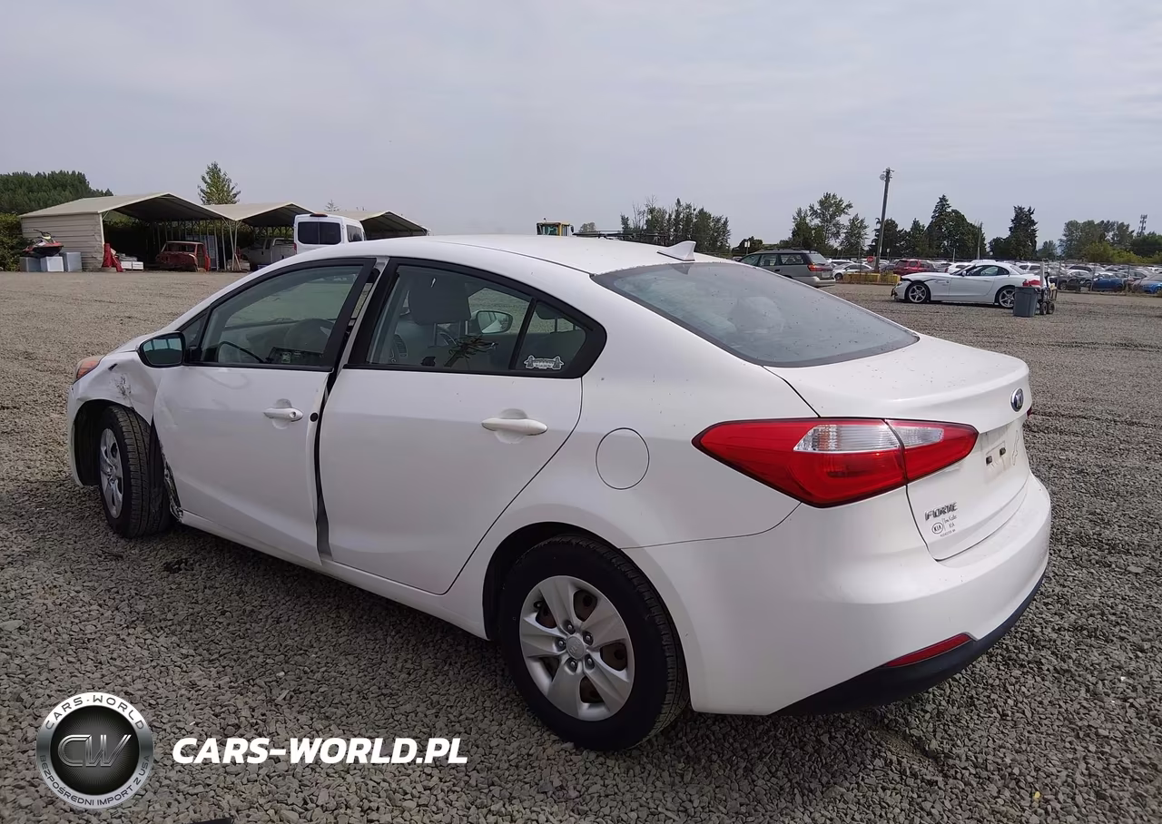 2016 Kia Forte Lx VIN:KNAFX4A64G5533155 - 3