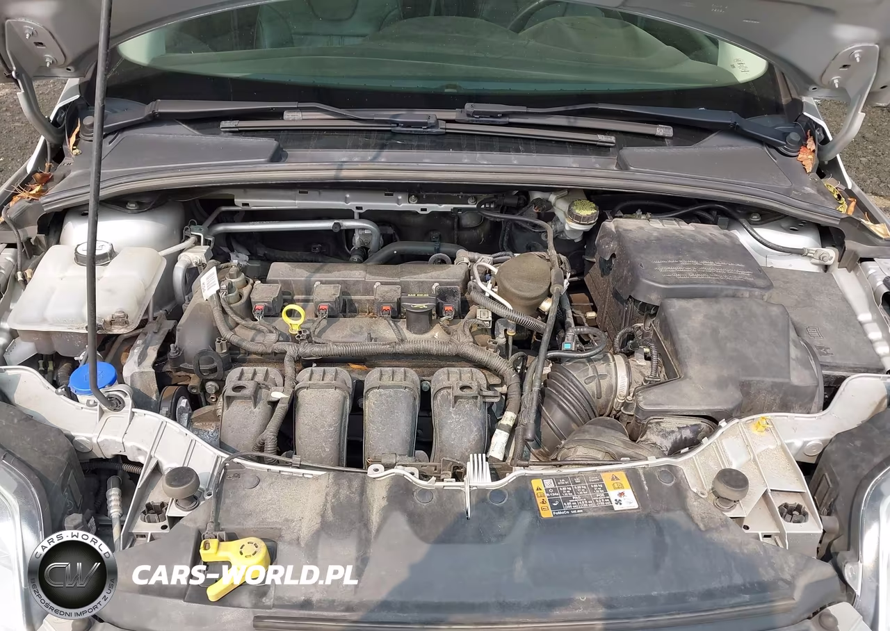 2014 Ford Focus Se VIN:1FADP3K25EL357182 - 10
