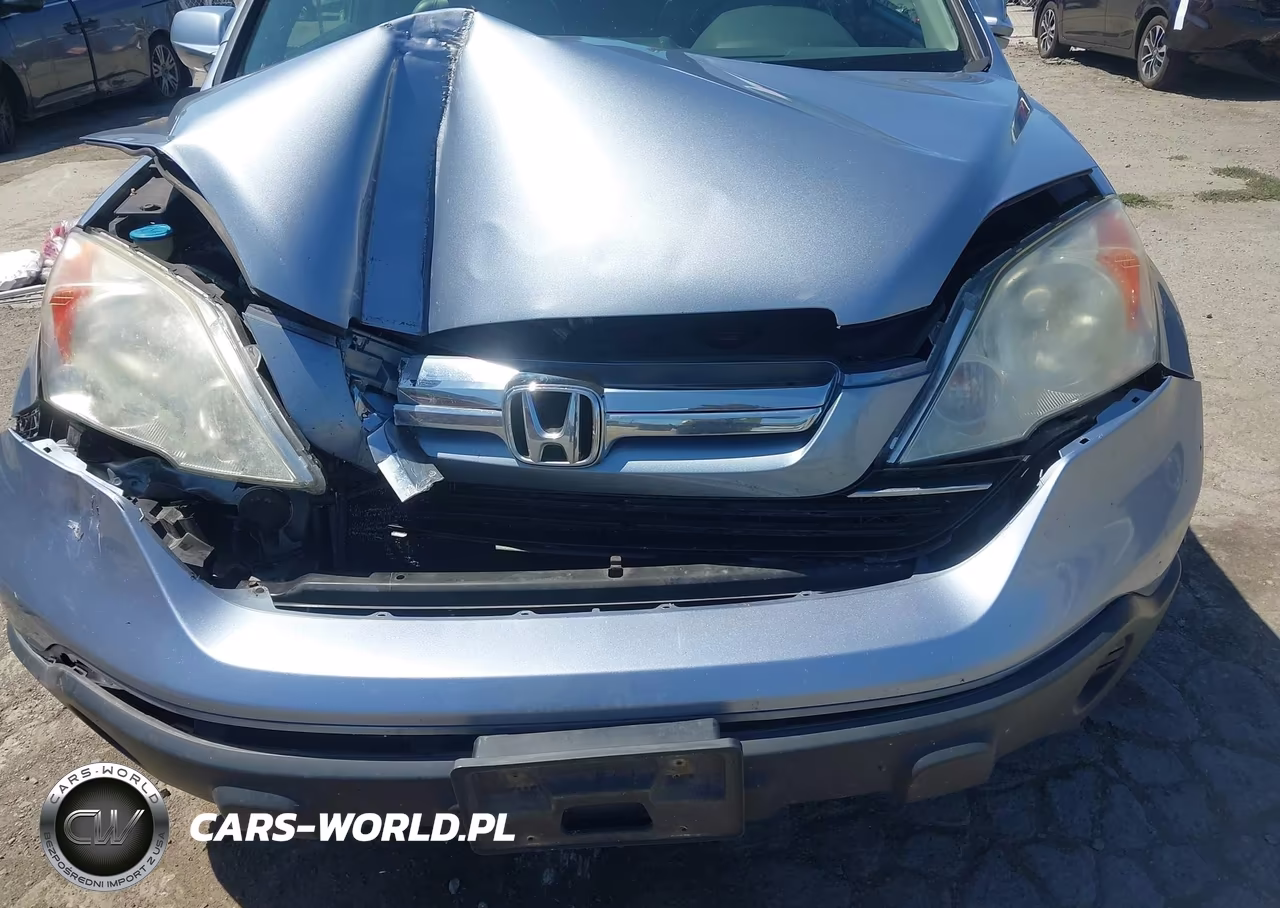 2009 Honda Cr-V Ex-L VIN:5J6RE48709L047617 - 6