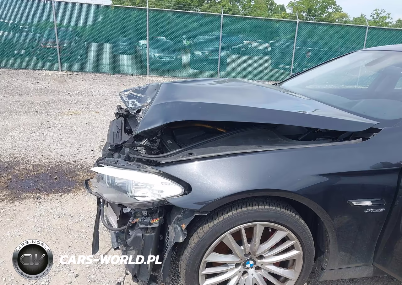 2011 BMW 550 Xi VIN:WBAFU9C53BC783906 - 6