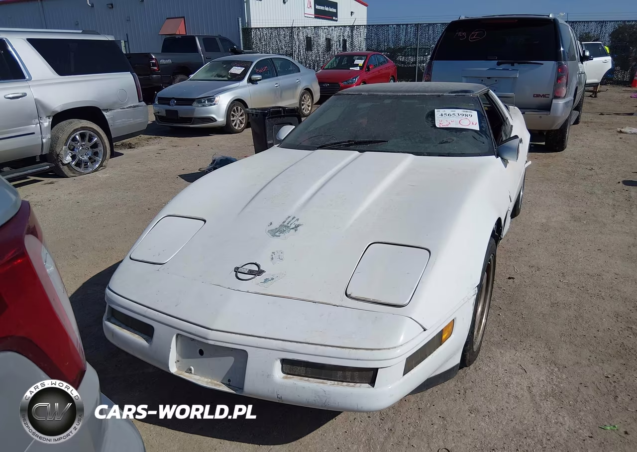 1992 Chevrolet Corvette VIN:1G1YY23P4N5114747 - 13