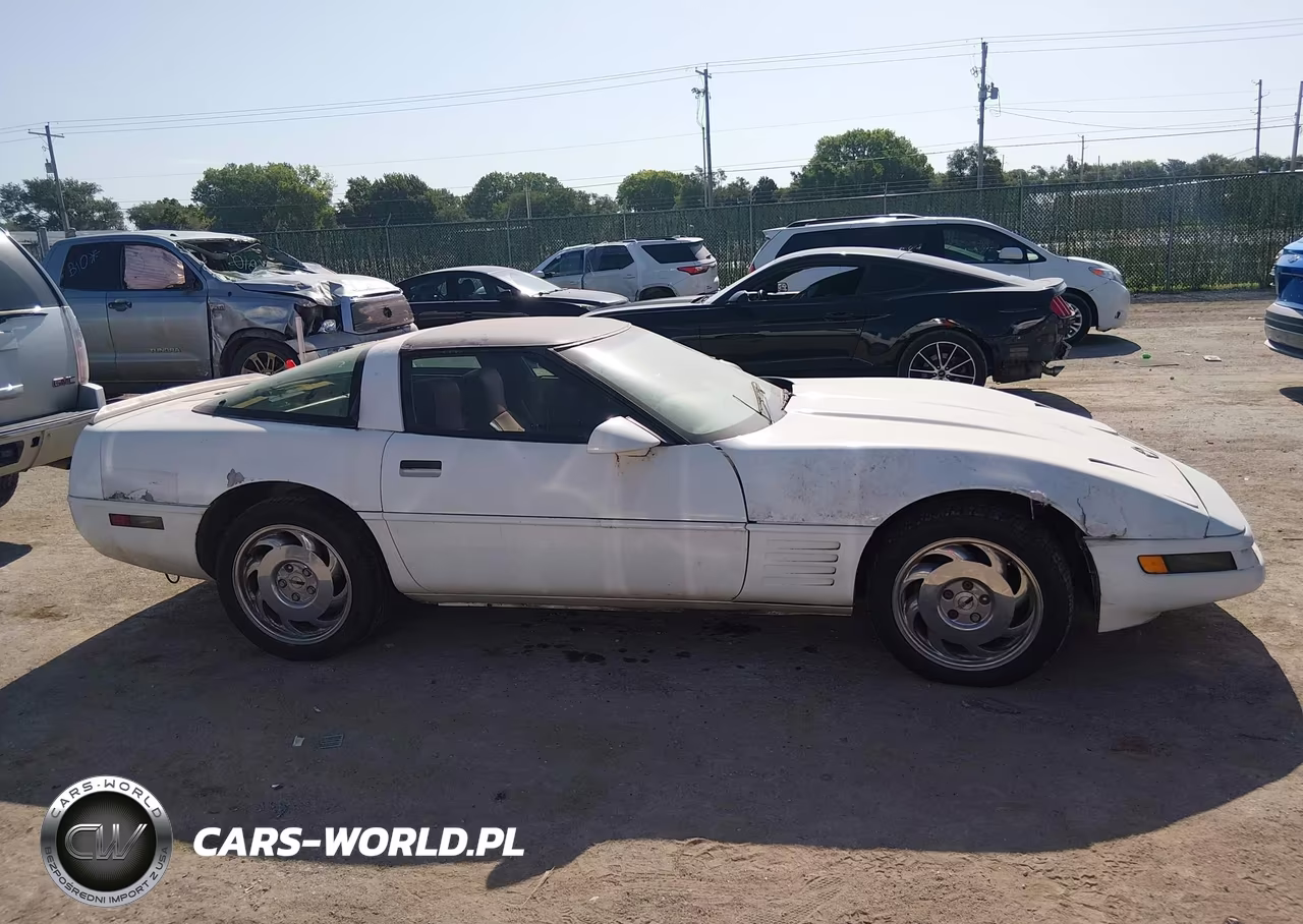 1992 Chevrolet Corvette VIN:1G1YY23P4N5114747 - 14