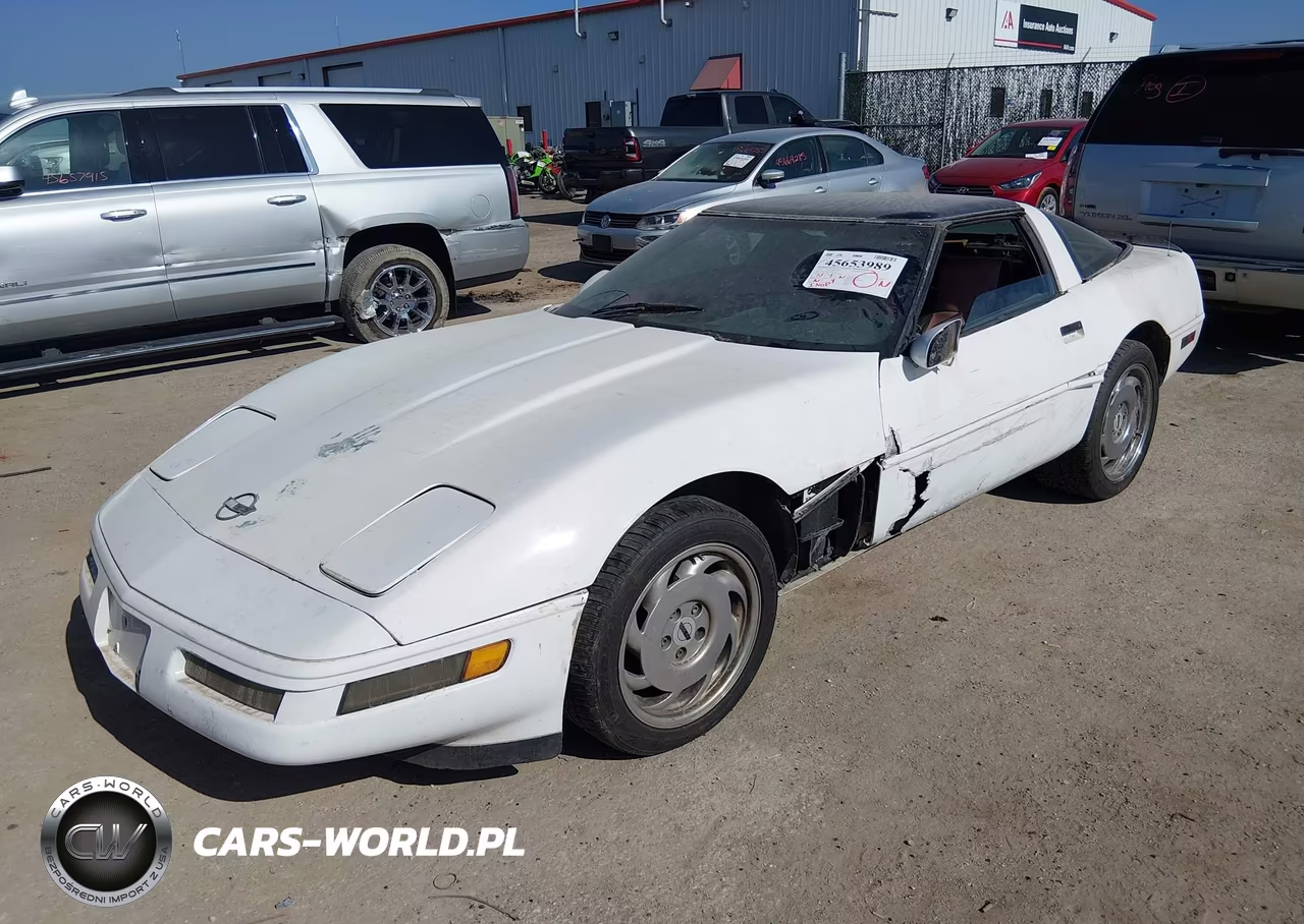 1992 Chevrolet Corvette VIN:1G1YY23P4N5114747 - 2