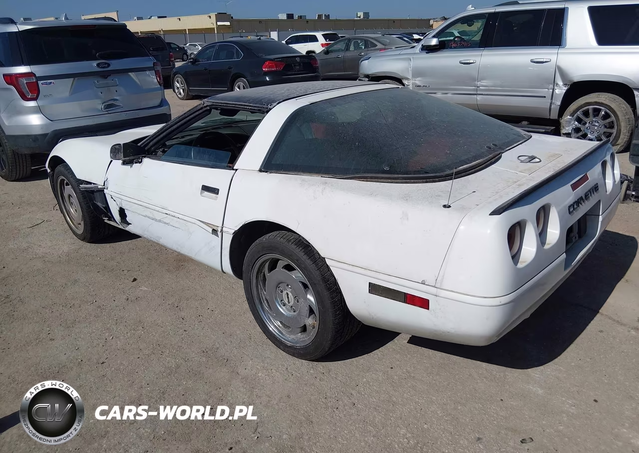 1992 Chevrolet Corvette VIN:1G1YY23P4N5114747 - 3