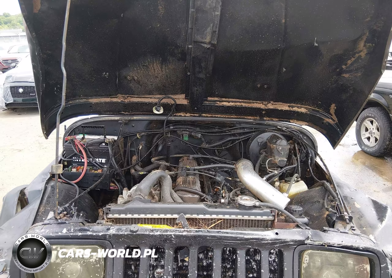 1993 Jeep Wrangler - Yj VIN:1J4FY29S6PP206700 - 10