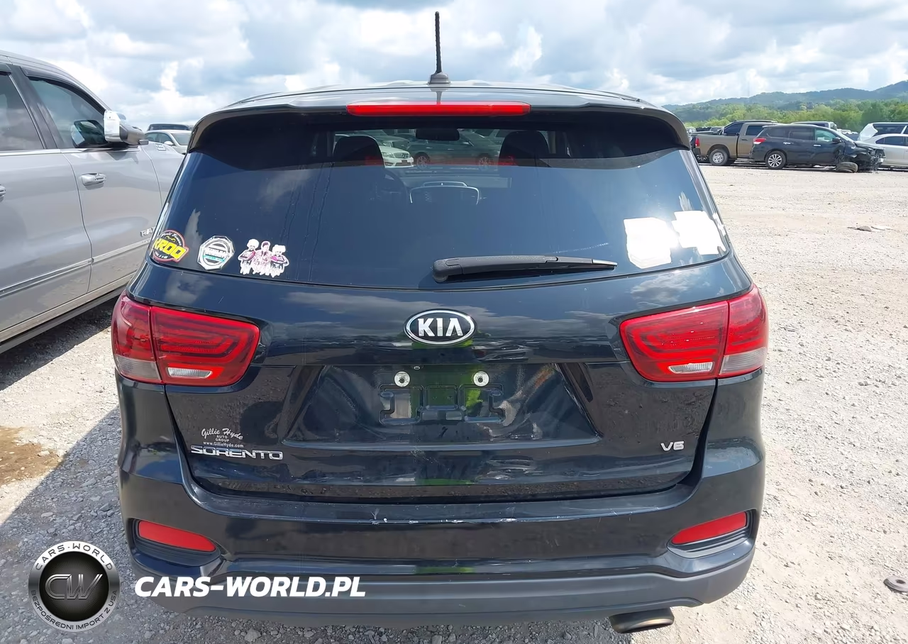 2020 Kia Sorento 3.3L Lx VIN:5XYPG4A56LG629787 - 17