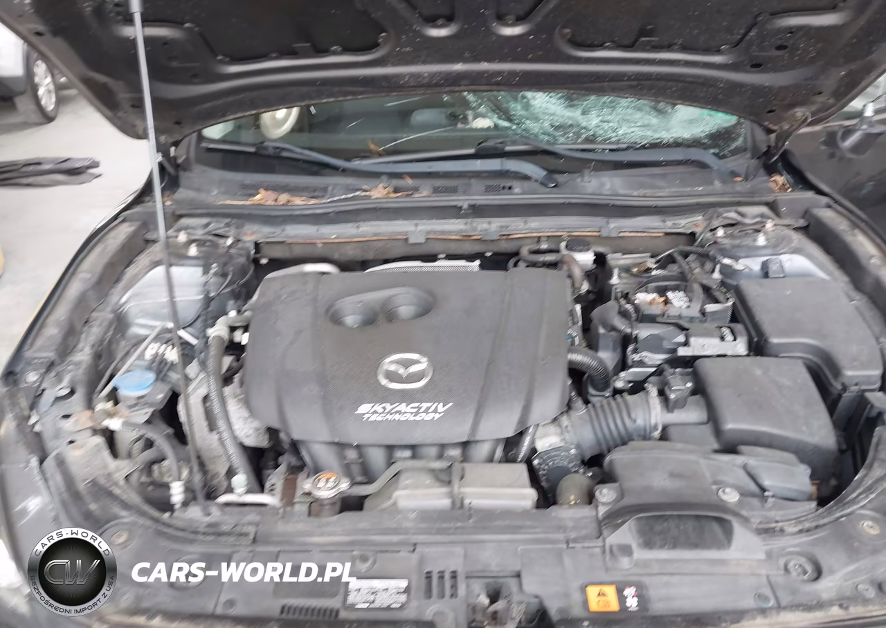 2014 Mazda Mazda3 I Touring VIN:JM1BM1V7XE1182512 - 10