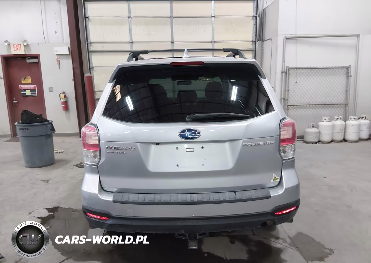 2018 Subaru Forester 2.5I Premium VIN:JF2SJAGC1JH504122 - 17