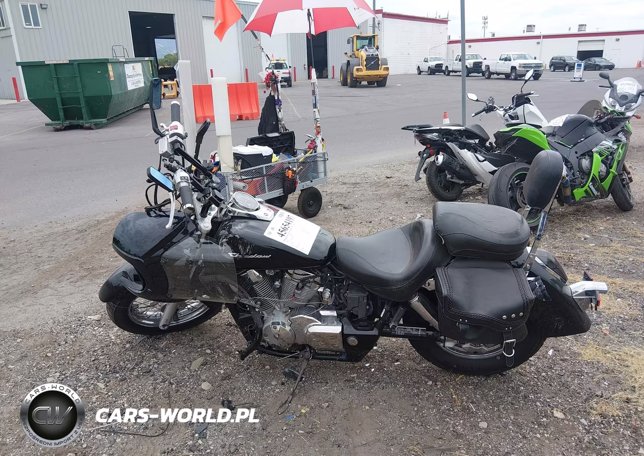 2009 Honda Vt750 C VIN:JH2RC50089K501397 - 12