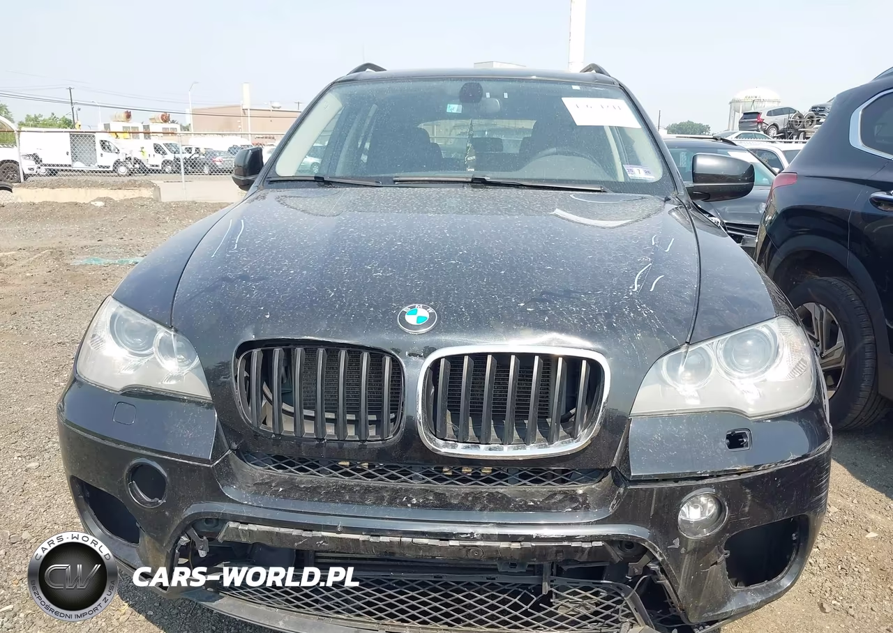 2013 BMW X5 xDrive35I-xDrive35I Premium-xDrive35I Sport Activity VIN:5UXZV4C50DL994711 - 12