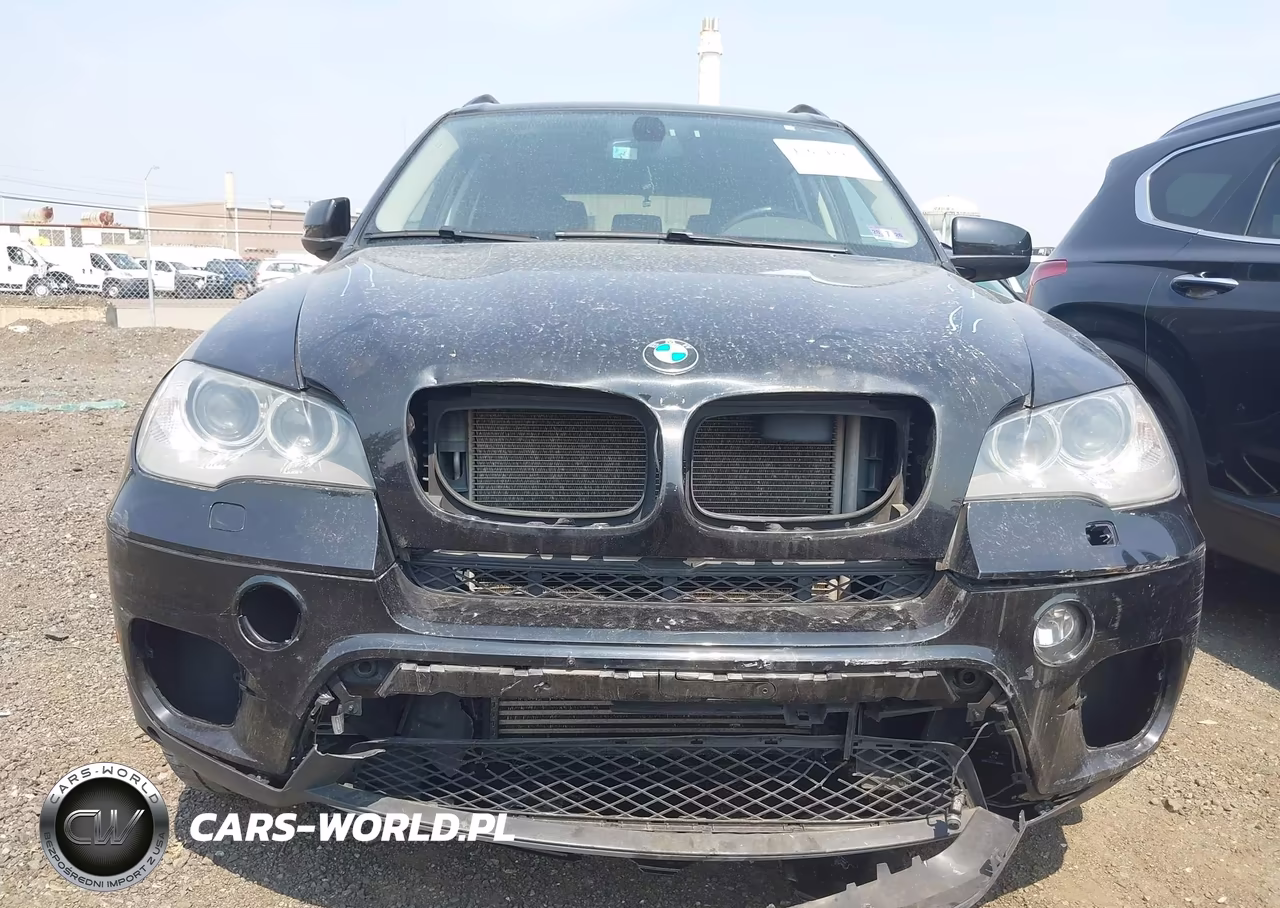 2013 BMW X5 xDrive35I-xDrive35I Premium-xDrive35I Sport Activity VIN:5UXZV4C50DL994711 - 6