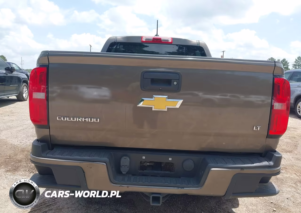 2016 Chevrolet Colorado 2Wd Lt VIN:1GCGSCE30G1131026 - 16