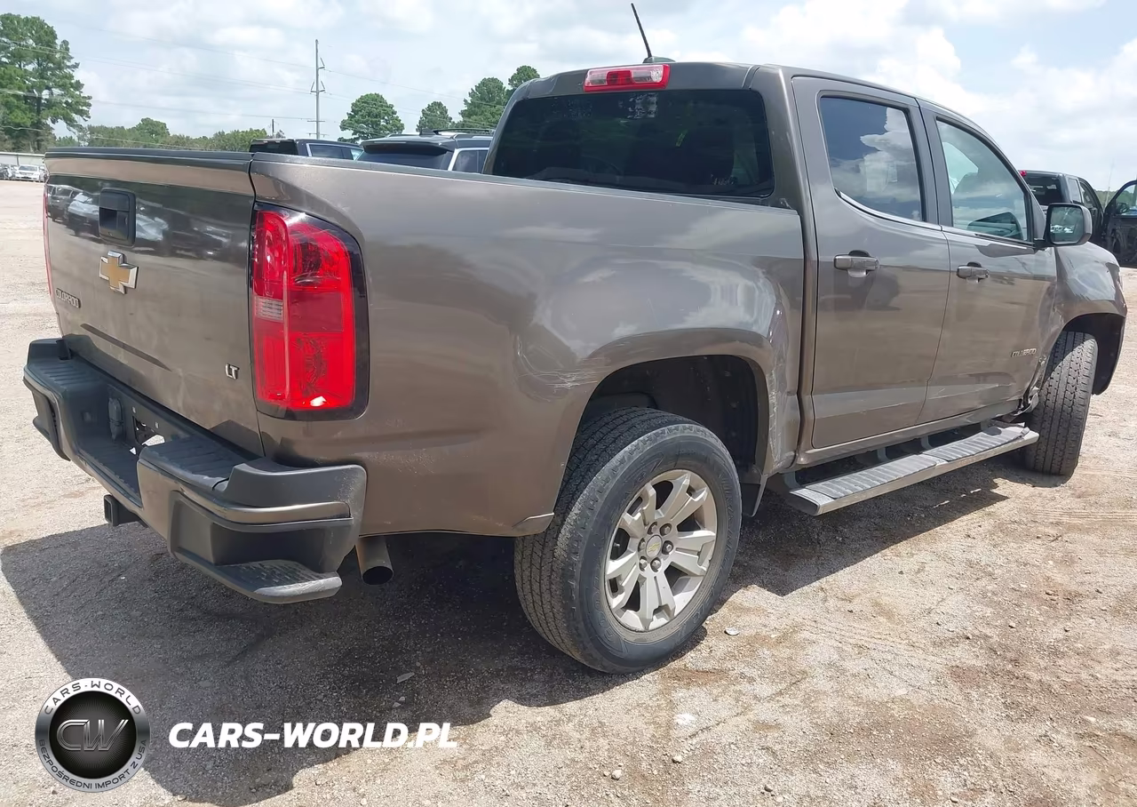 2016 Chevrolet Colorado 2Wd Lt VIN:1GCGSCE30G1131026 - 4