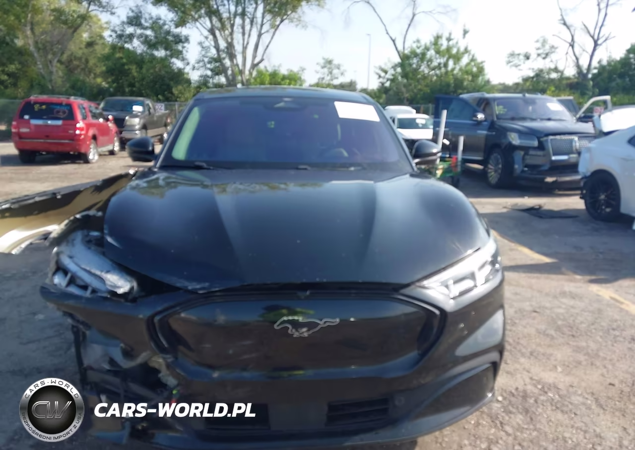2022 Ford Mustang Mach-E Premium VIN:3FMTK3RM9NMA38941 - 12