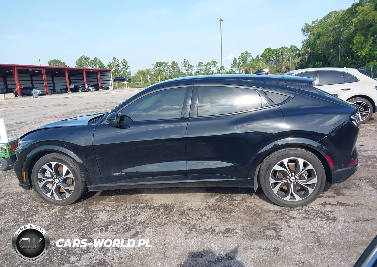 2022 Ford Mustang Mach-E Premium VIN:3FMTK3RM9NMA38941 - 14