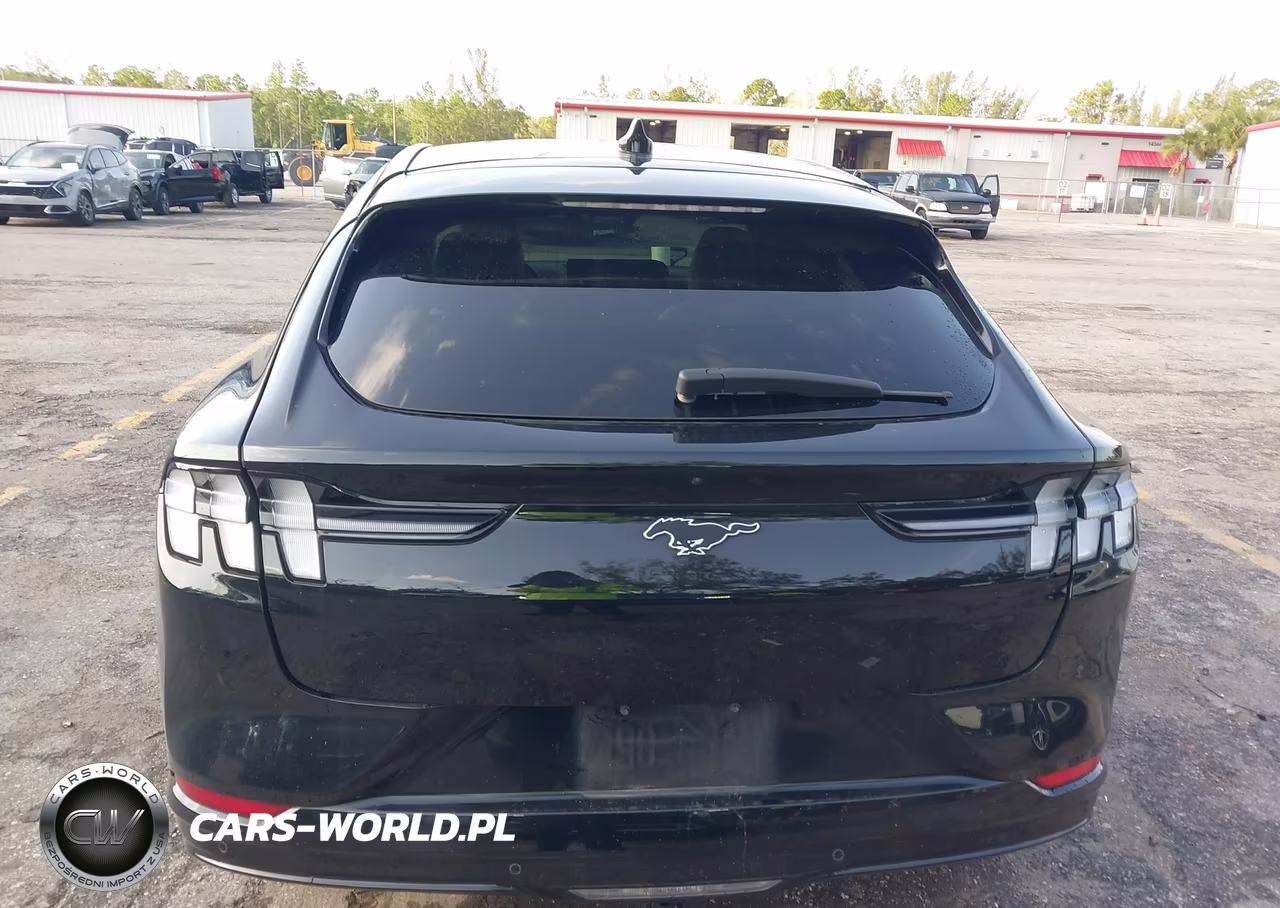 2022 Ford Mustang Mach-E Premium VIN:3FMTK3RM9NMA38941 - 16