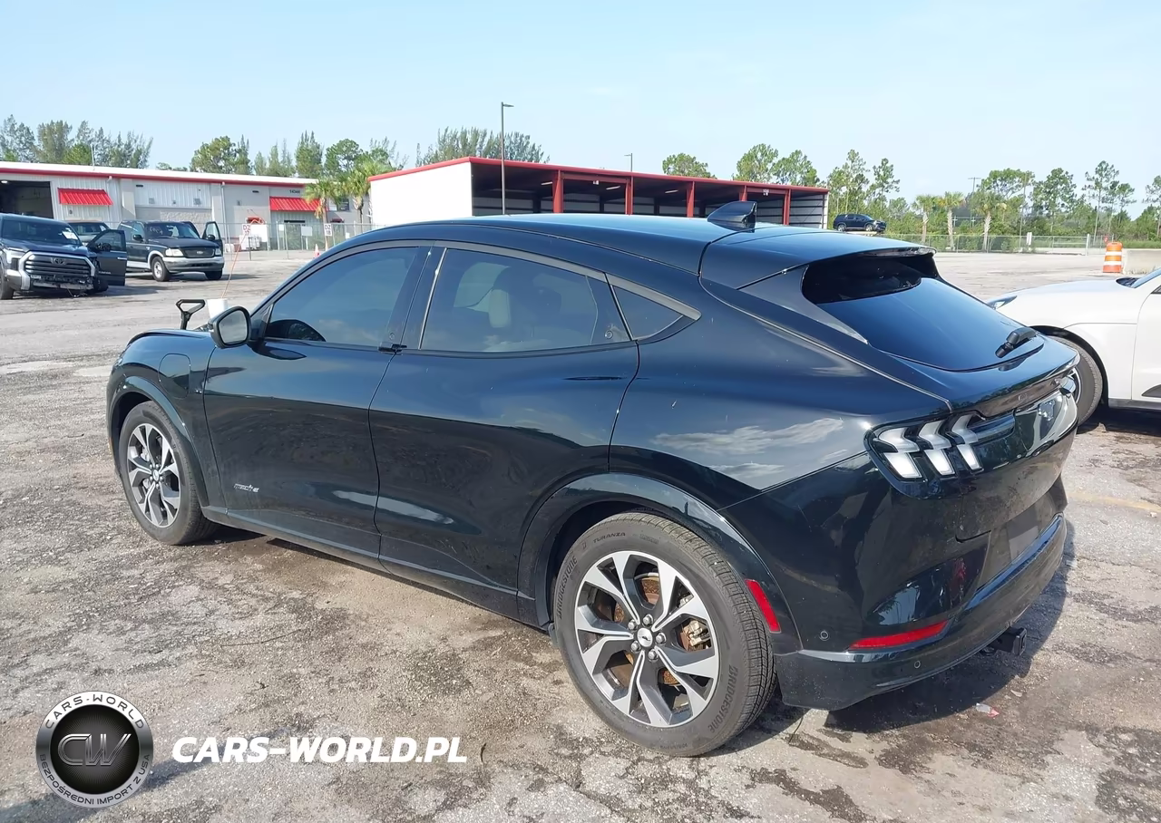 2022 Ford Mustang Mach-E Premium VIN:3FMTK3RM9NMA38941 - 3