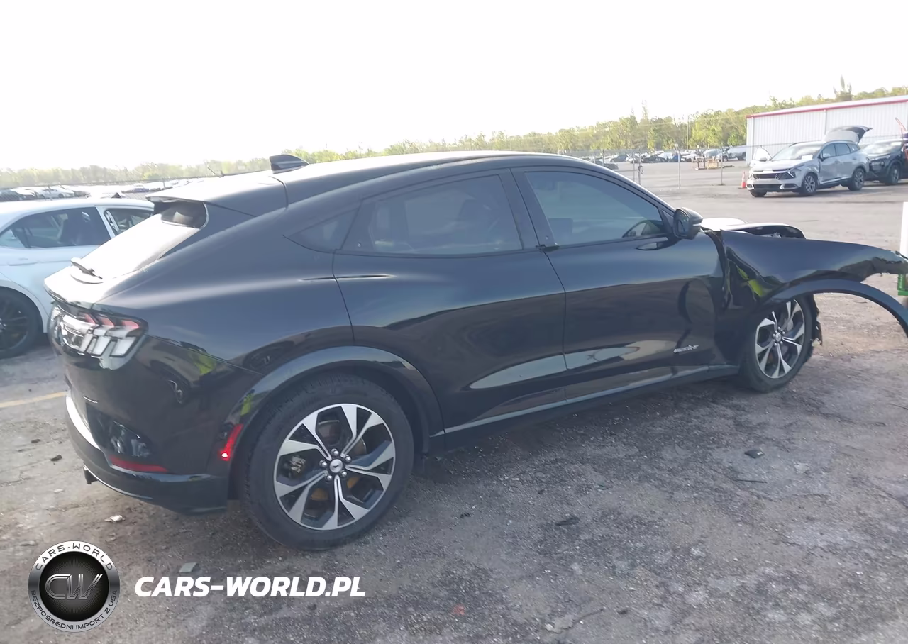 2022 Ford Mustang Mach-E Premium VIN:3FMTK3RM9NMA38941 - 4