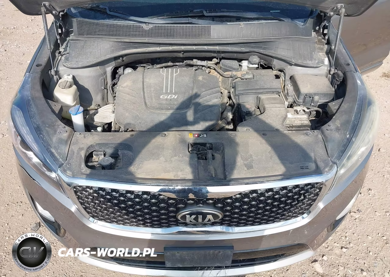 2016 Kia Sorento 3.3L Sx VIN:5XYPKDA55GG087294 - 10
