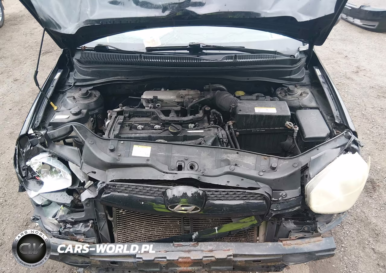2007 Hyundai Accent Gs VIN:KMHCM36C47U039225 - 10