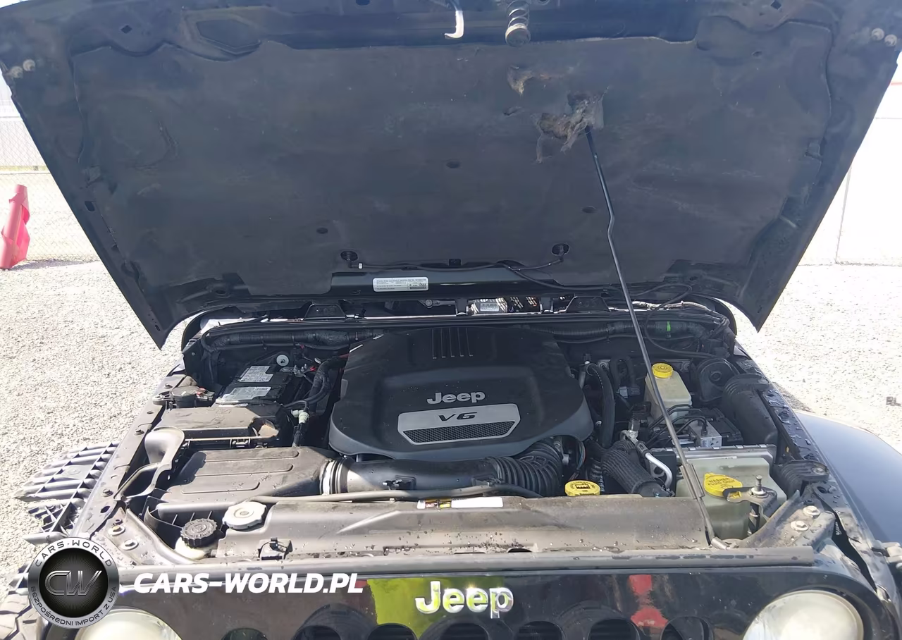2015 Jeep Wrangler Unlimited Sahara VIN:1C4HJWEGXFL526894 - 10