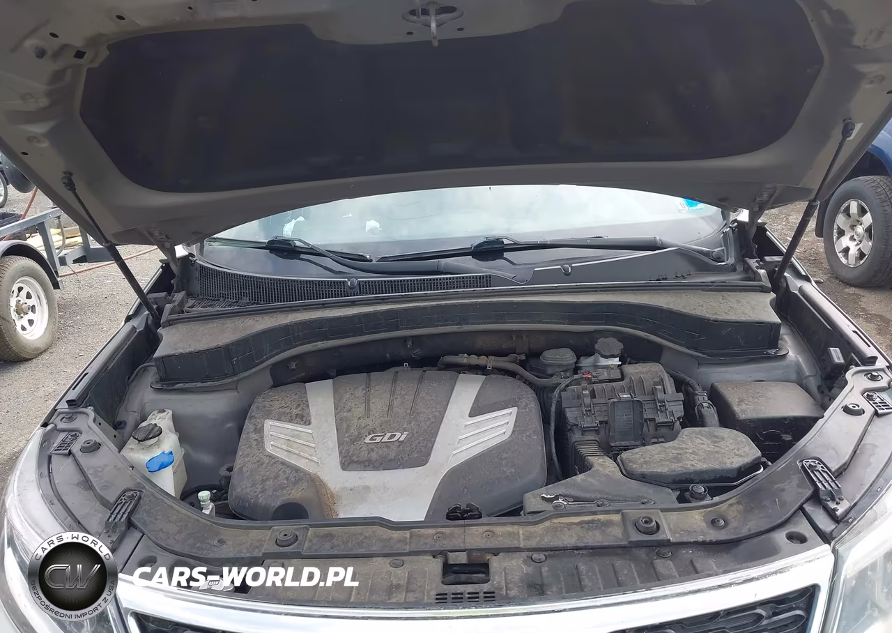 2014 Kia Sorento Lx V6 VIN:5XYKTDA76EG545897 - 10