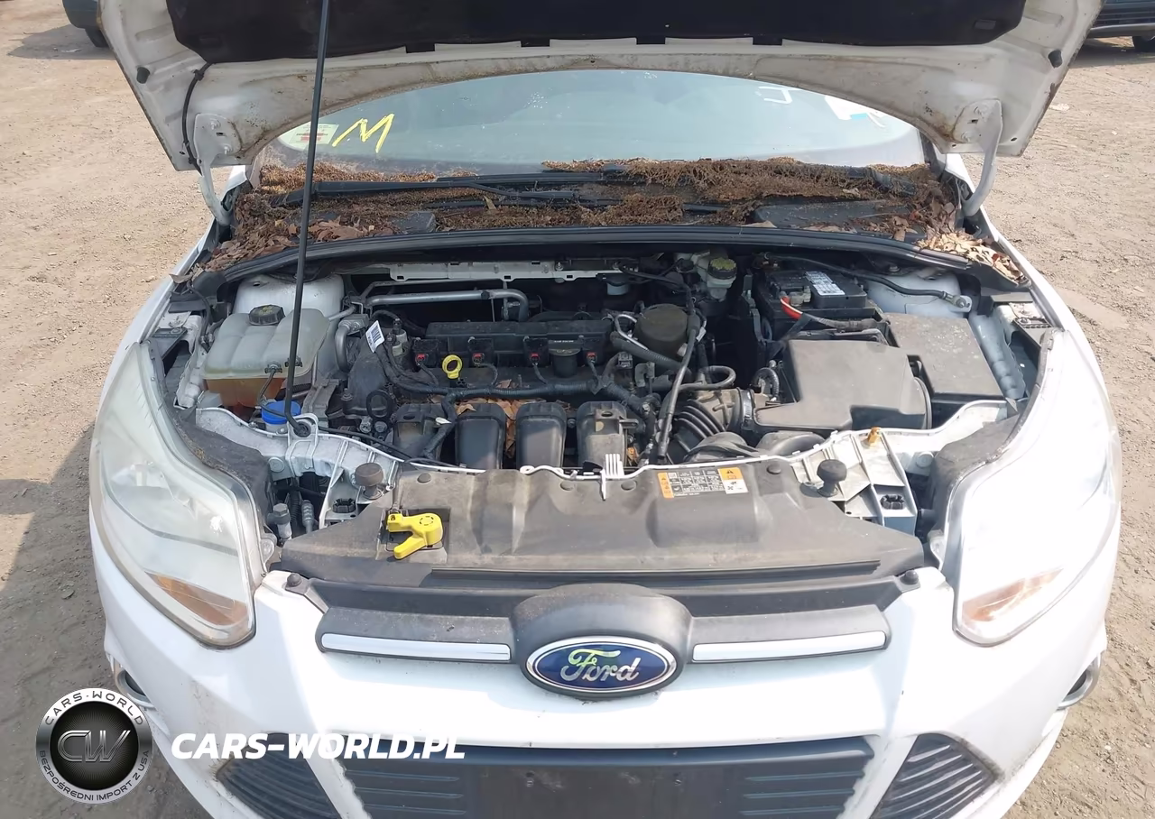 2014 Ford Focus Se VIN:1FADP3K28EL374669 - 10