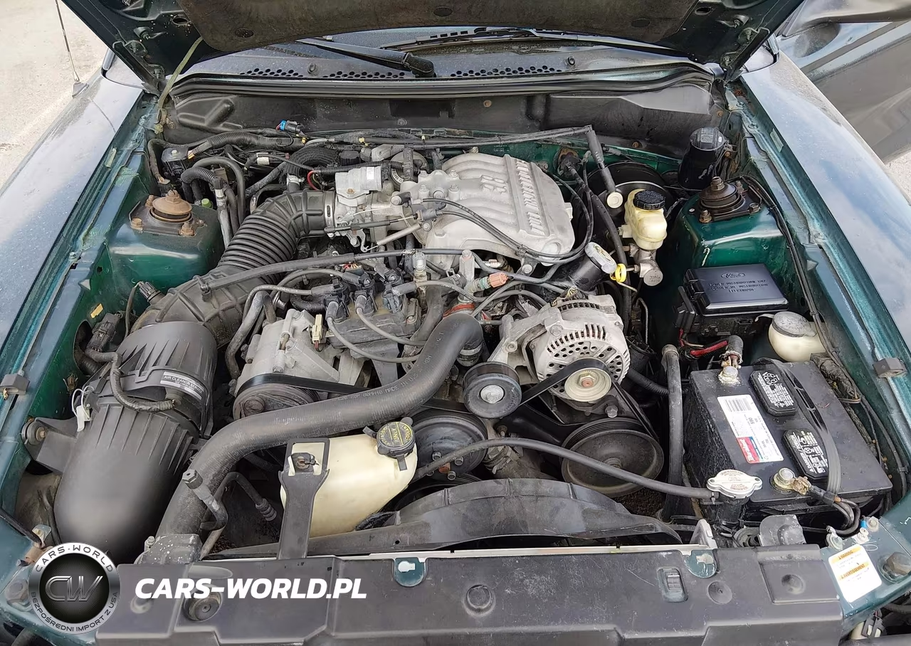 1998 Ford Mustang VIN:1FAFP4440WF155816 - 10