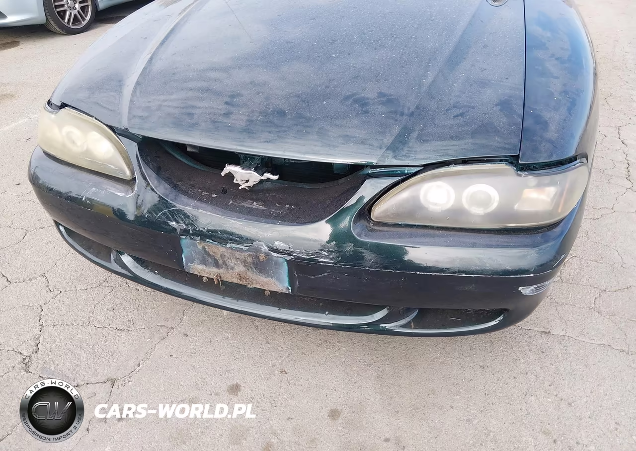 1998 Ford Mustang VIN:1FAFP4440WF155816 - 19