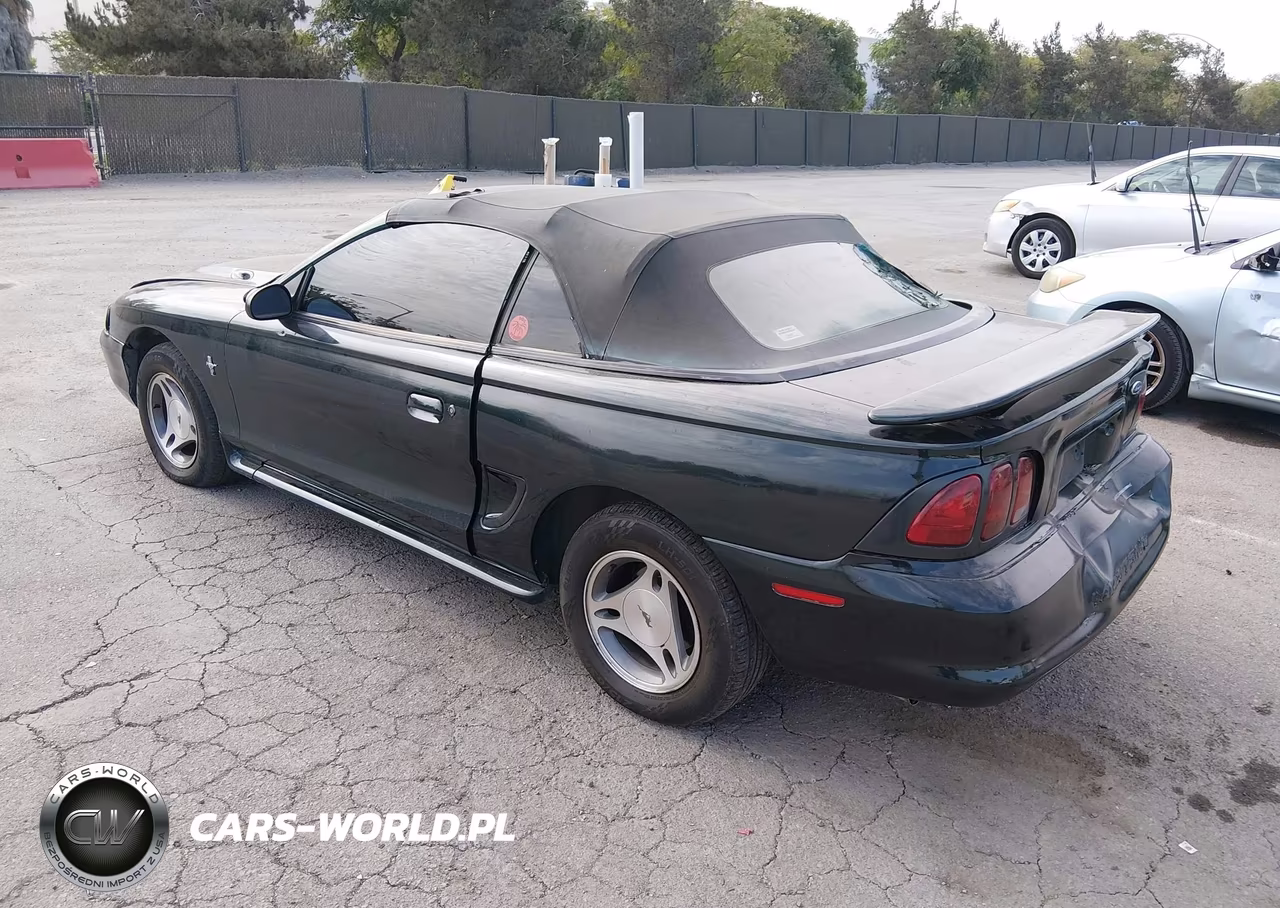 1998 Ford Mustang VIN:1FAFP4440WF155816 - 3