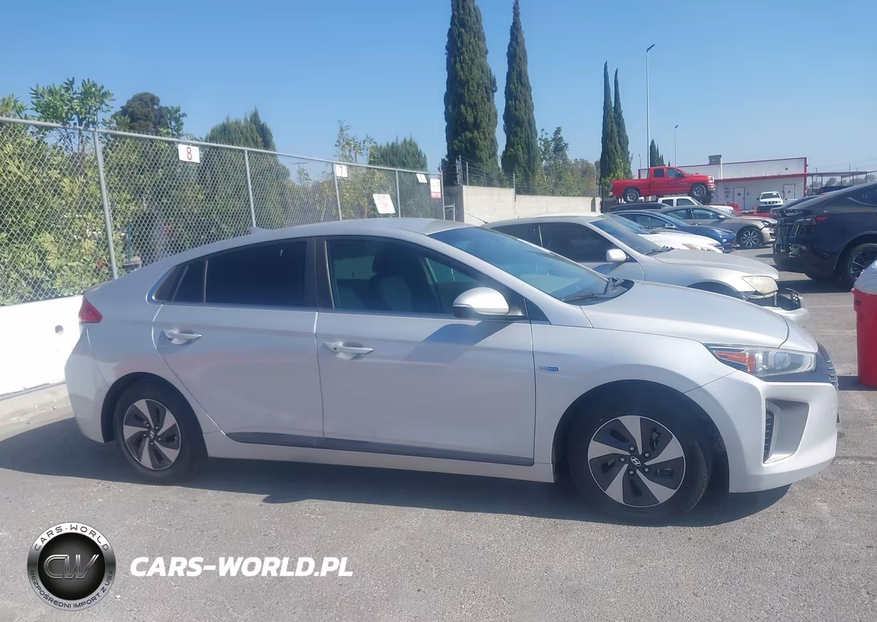 2018 Hyundai Ioniq Hybrid Sel VIN:KMHC75LC7JU065817 - 13
