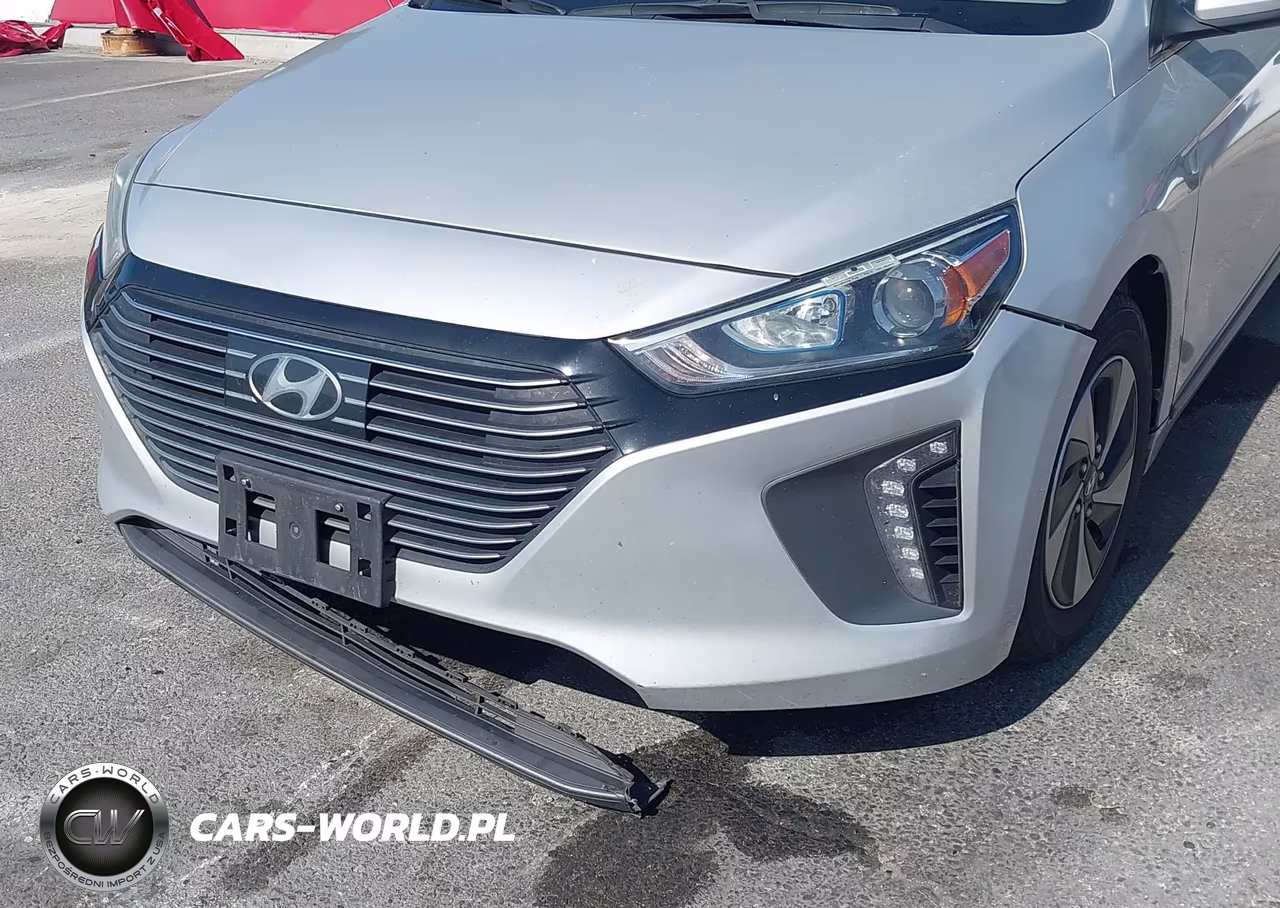 2018 Hyundai Ioniq Hybrid Sel VIN:KMHC75LC7JU065817 - 6