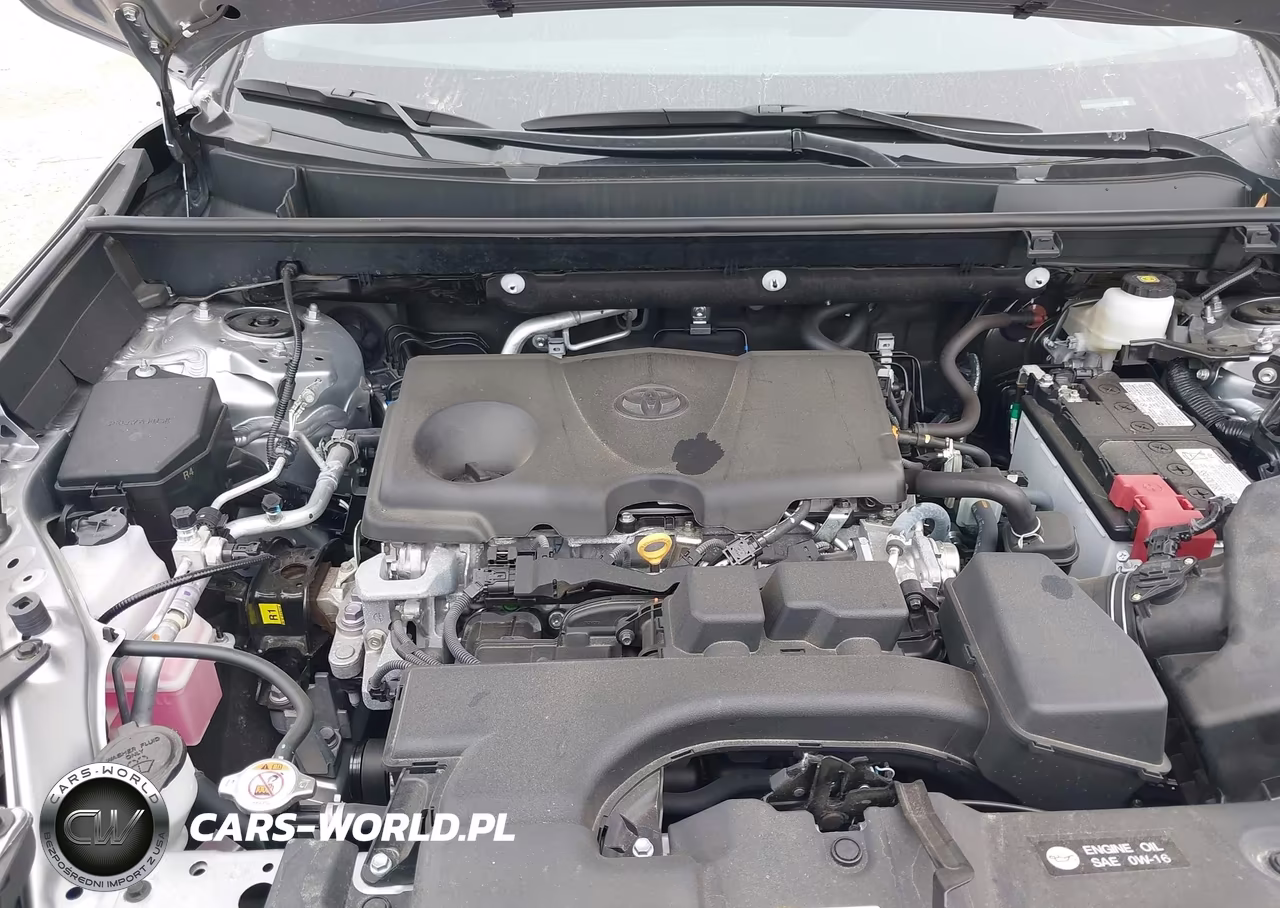 2025 Toyota Rav4 Xle VIN:2T3P1RFV8SC501740 - 10