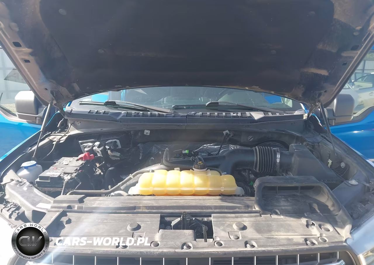 2020 Ford F-150 Xlt VIN:1FTEW1CP0LKE35404 - 10
