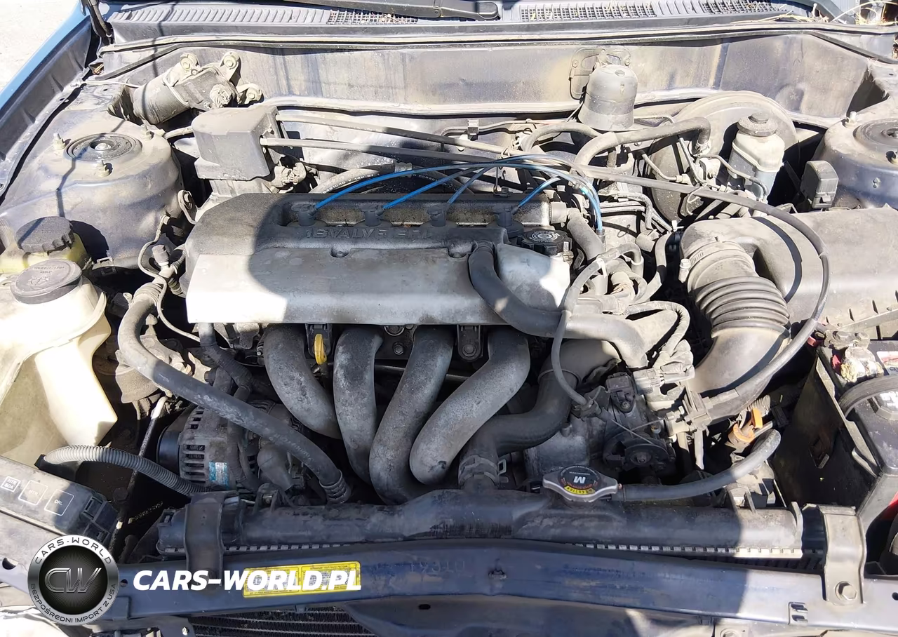 1998 Toyota Corolla Le VIN:2T1BR18E9WC014658 - 10