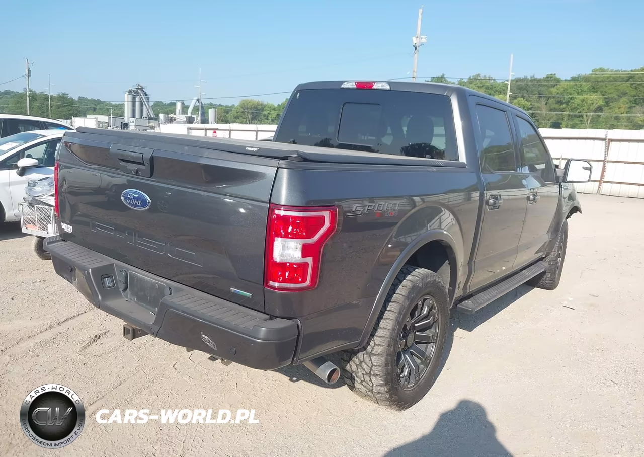 2020 Ford F-150 Xlt VIN:1FTEW1E48LKF09218 - 4