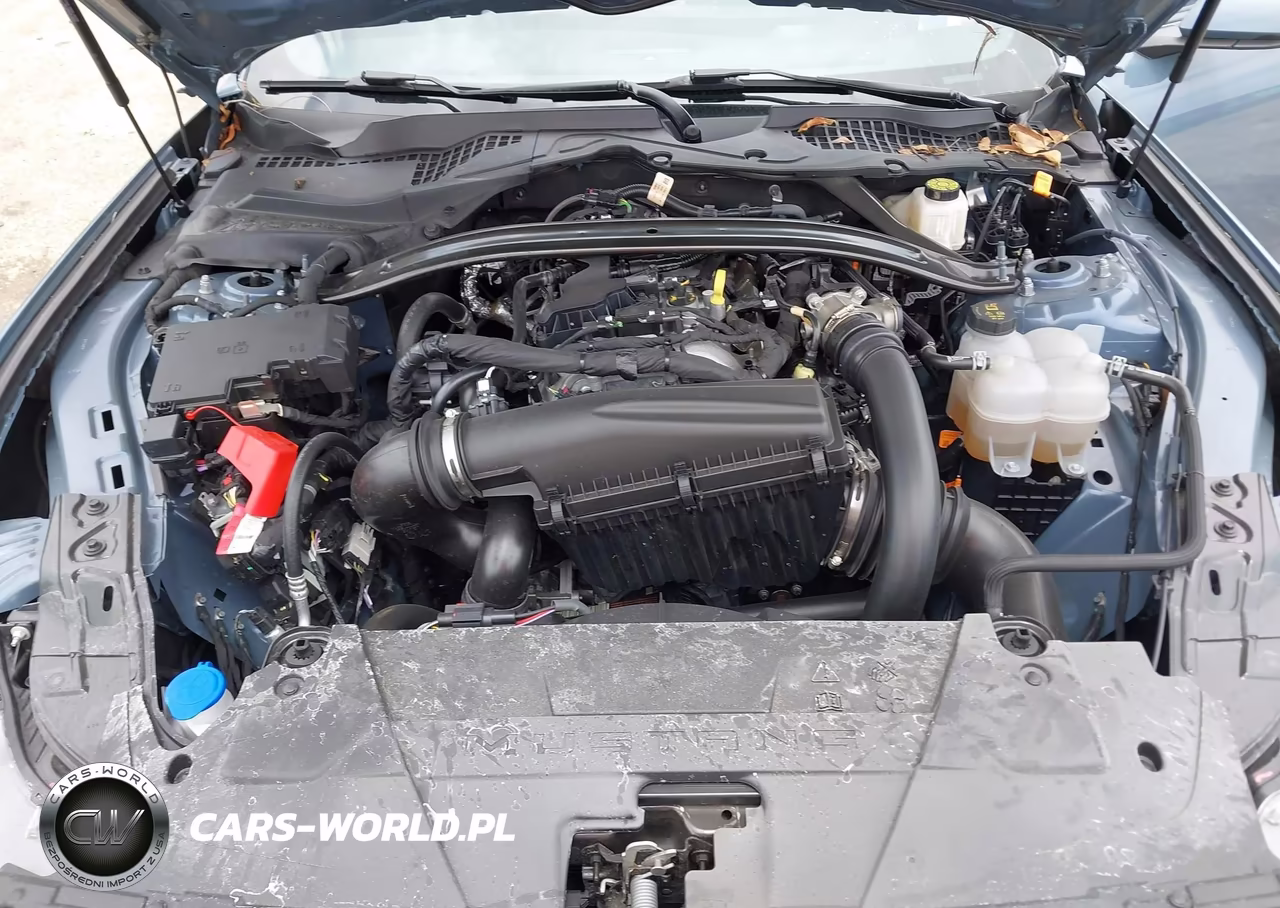 2025 Ford Mustang Ecoboost Premium VIN:1FAGP8UH2S5130043 - 10