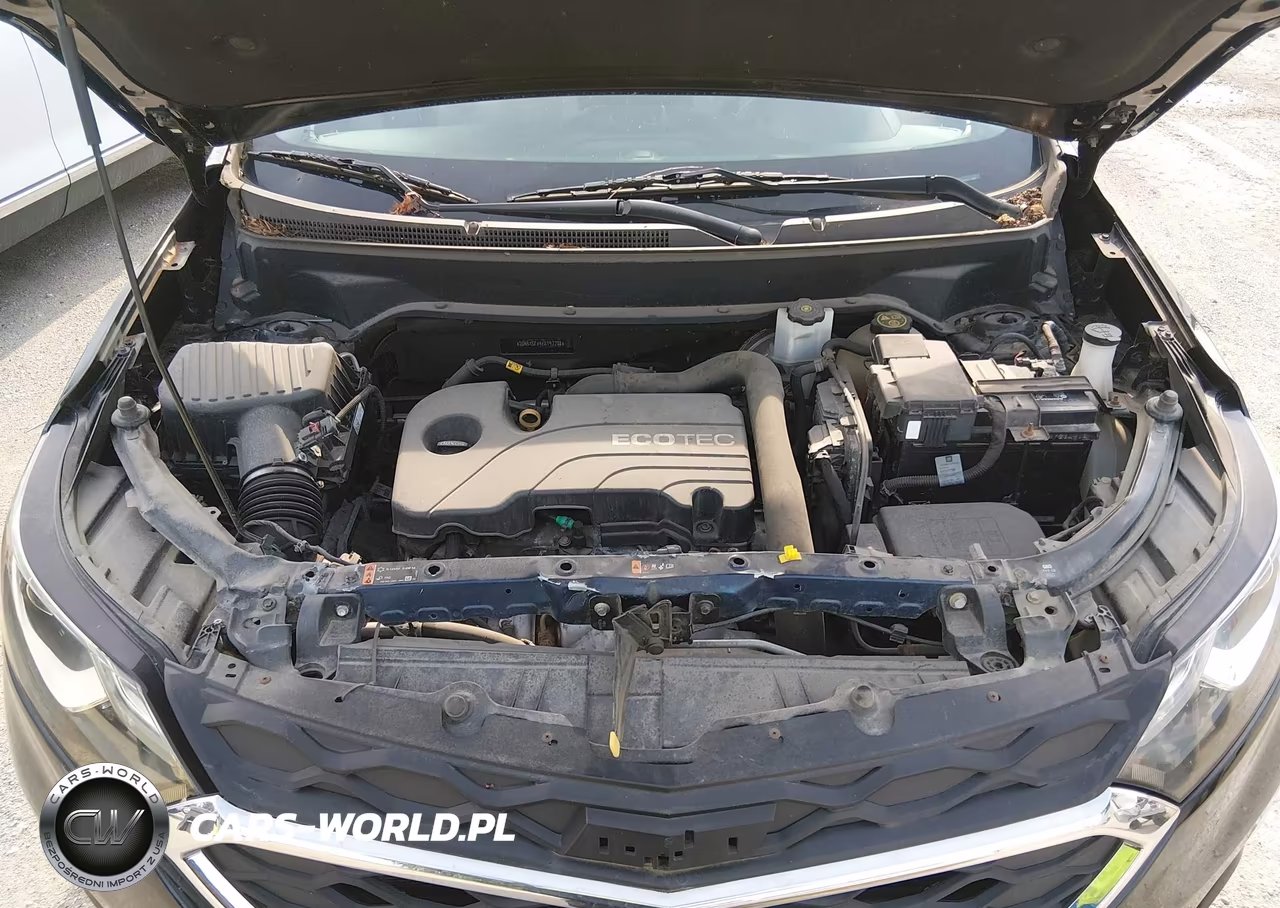 2019 Chevrolet Equinox Ls VIN:2GNAXSEV4K6197708 - 10