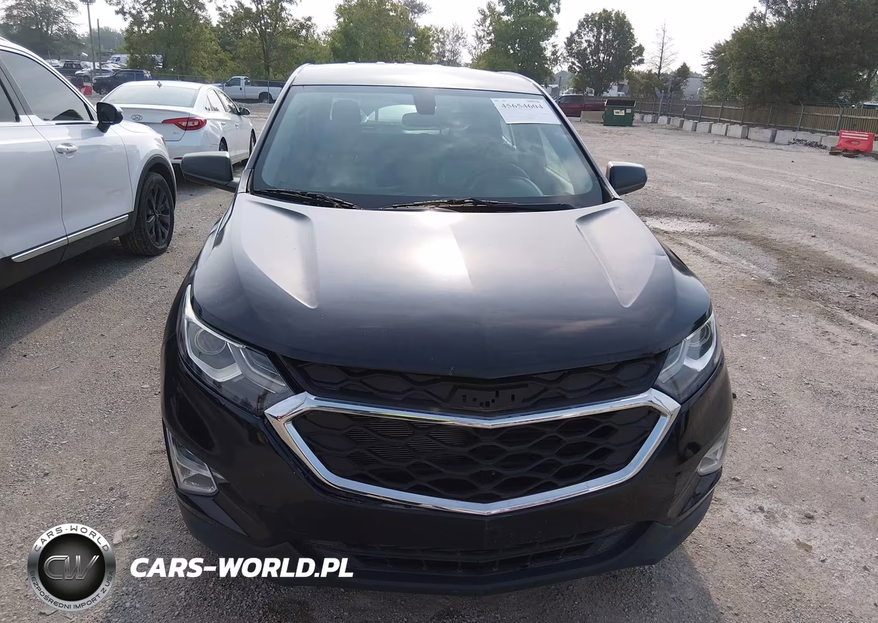 2019 Chevrolet Equinox Ls VIN:2GNAXSEV4K6197708 - 12
